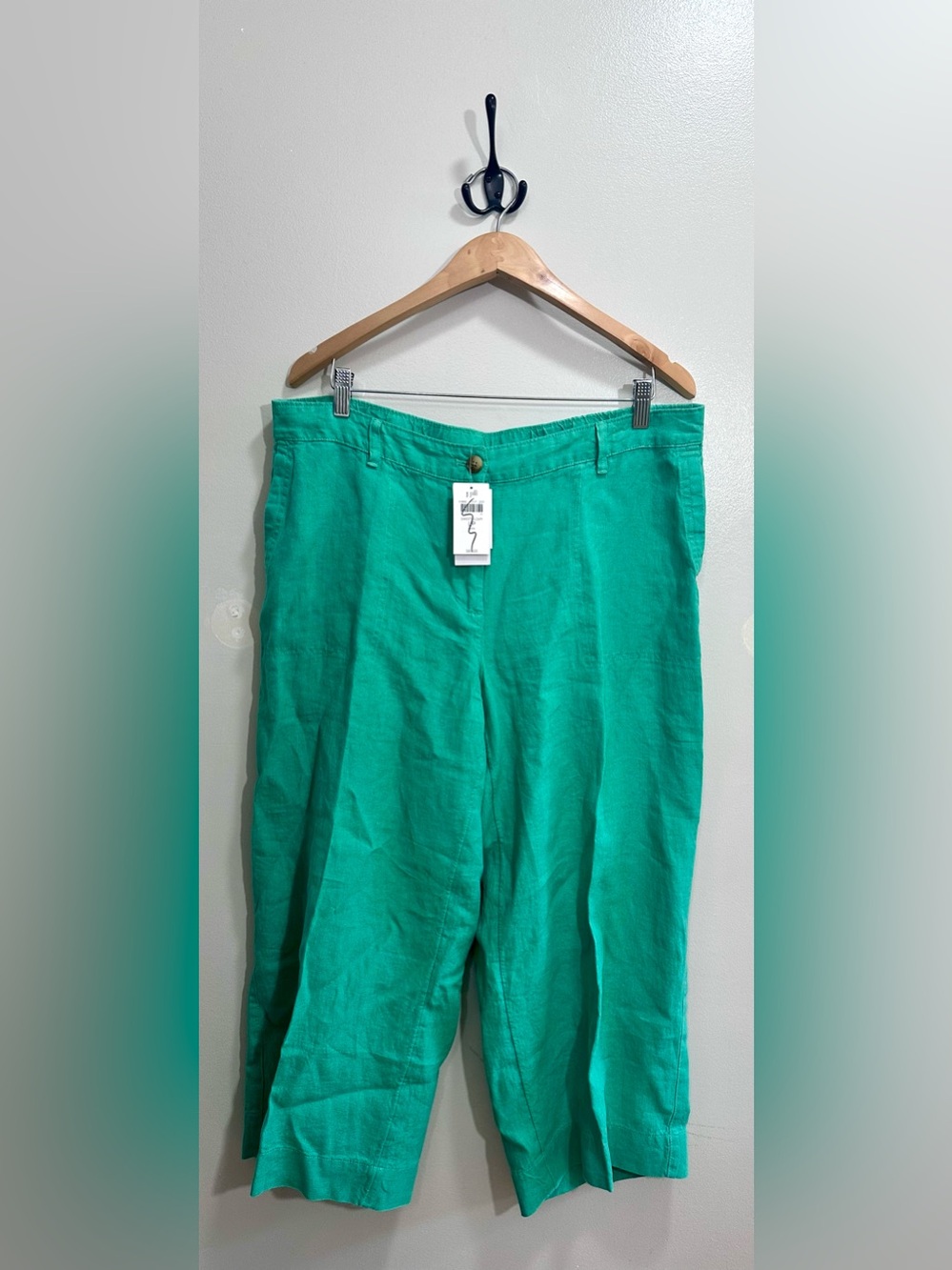 NWT J.Jill Love Linen Cropped Pants in Sweet Clover Green Size L